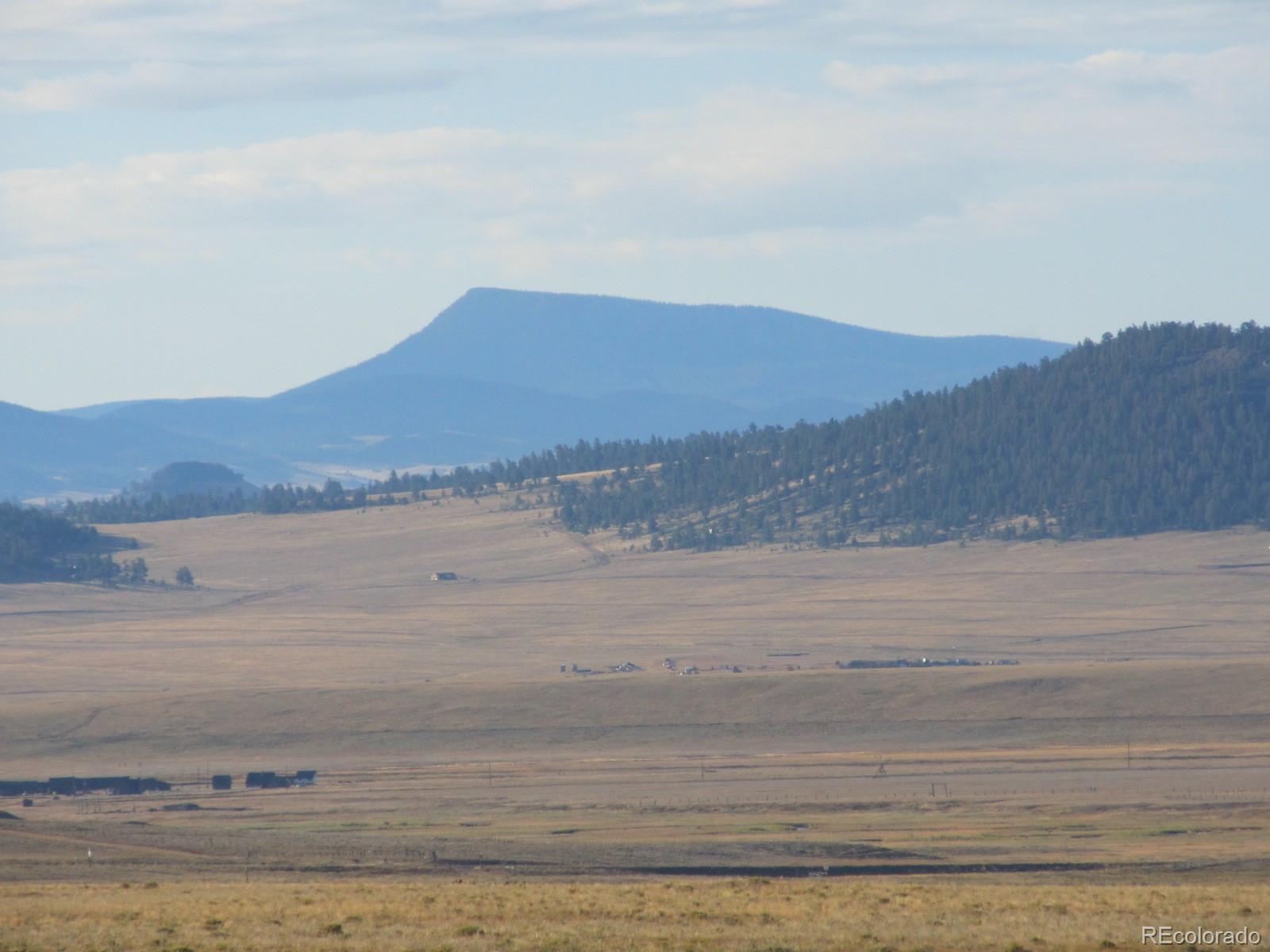 1173 Jackson Road Hartsel, CO 80449 - Photo 10 of 17
