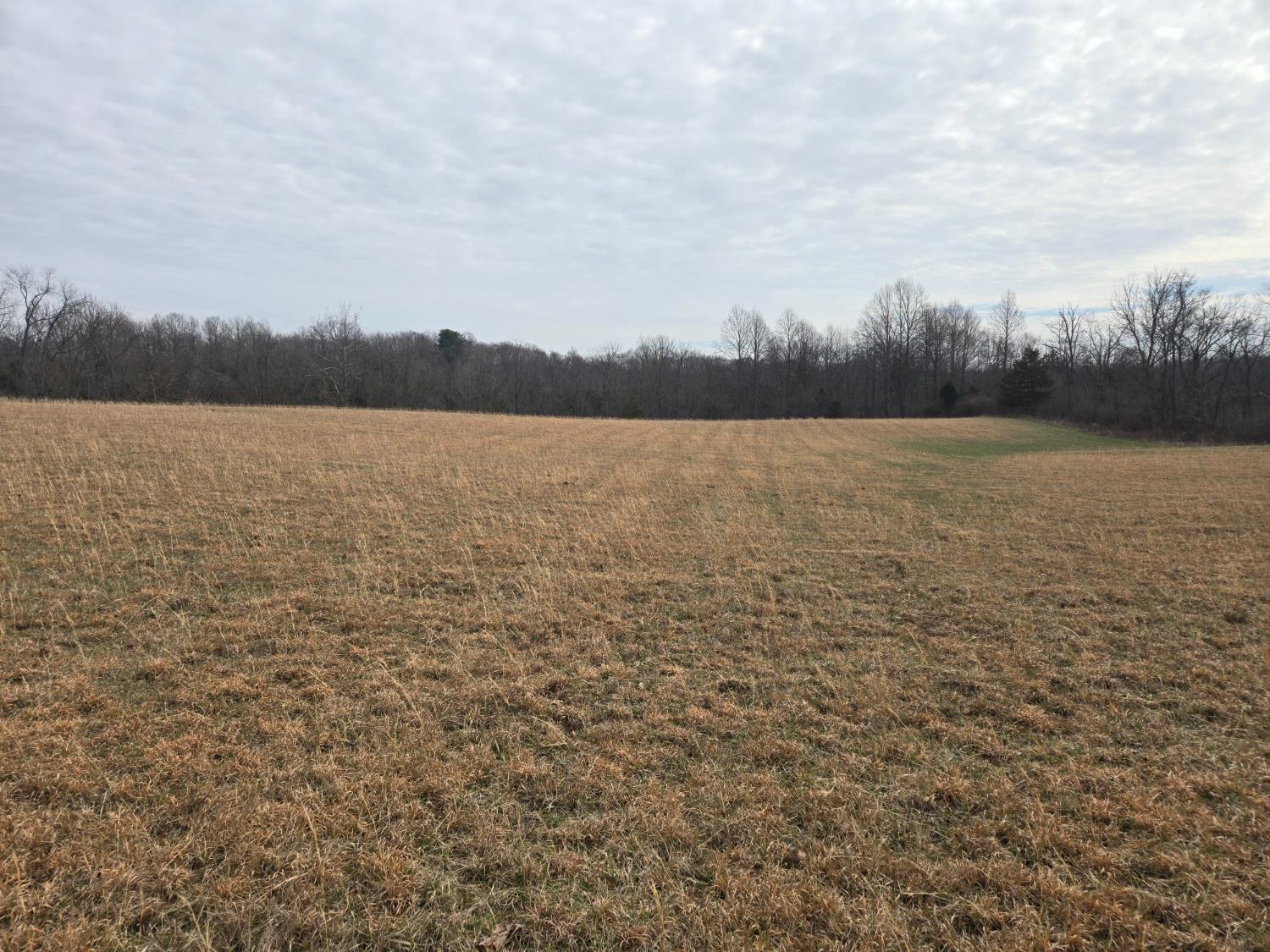 48 Mettle Road Laurel, IN 47024 - Photo 10 of 23