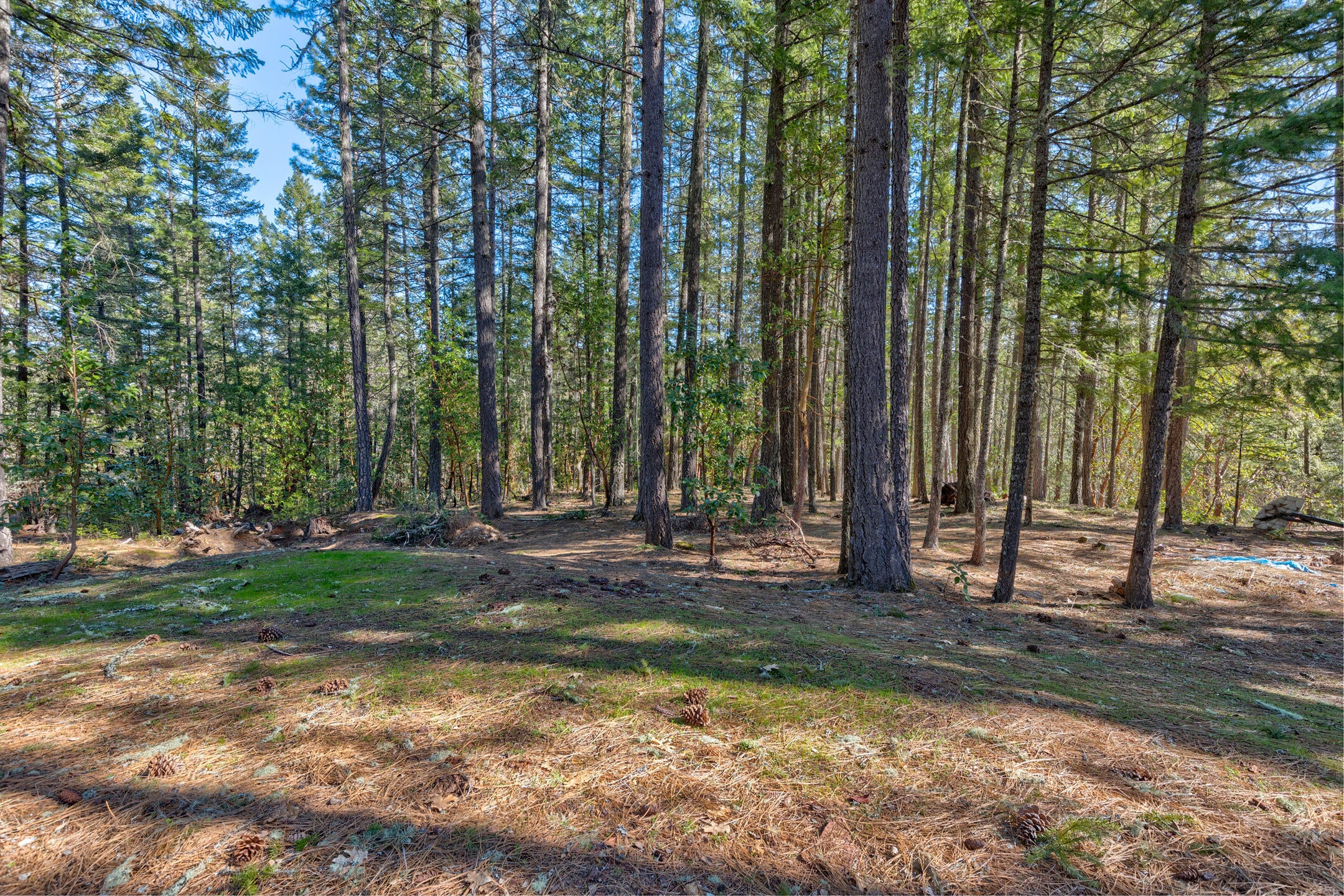 620 Eight Dollar Mountain Road Selma, OR 97538 - Photo 42 of 46 0R1A8024_5_6_7_8