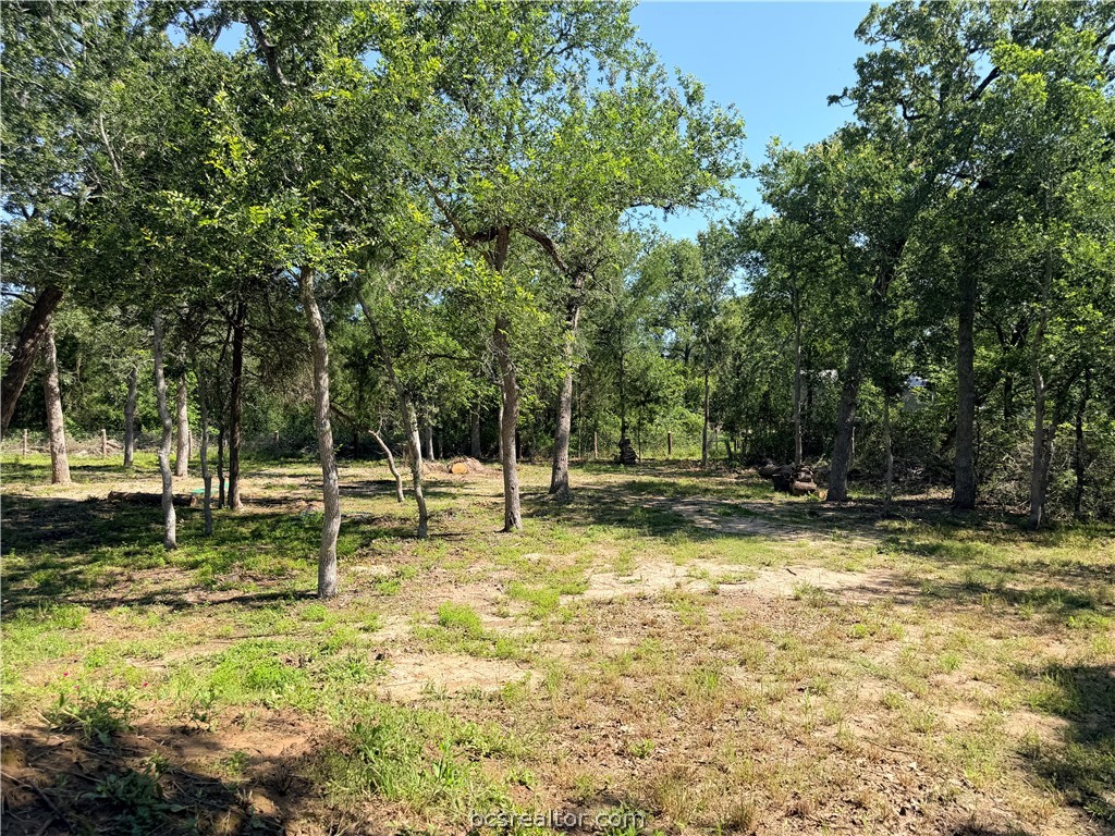 281 Redberry Road Somerville, TX 77879 - Photo 2 of 15