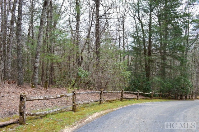 L-7 Silver Springs Road Sapphire, NC 28774 - Photo 1 of 1 Gallery Image 1