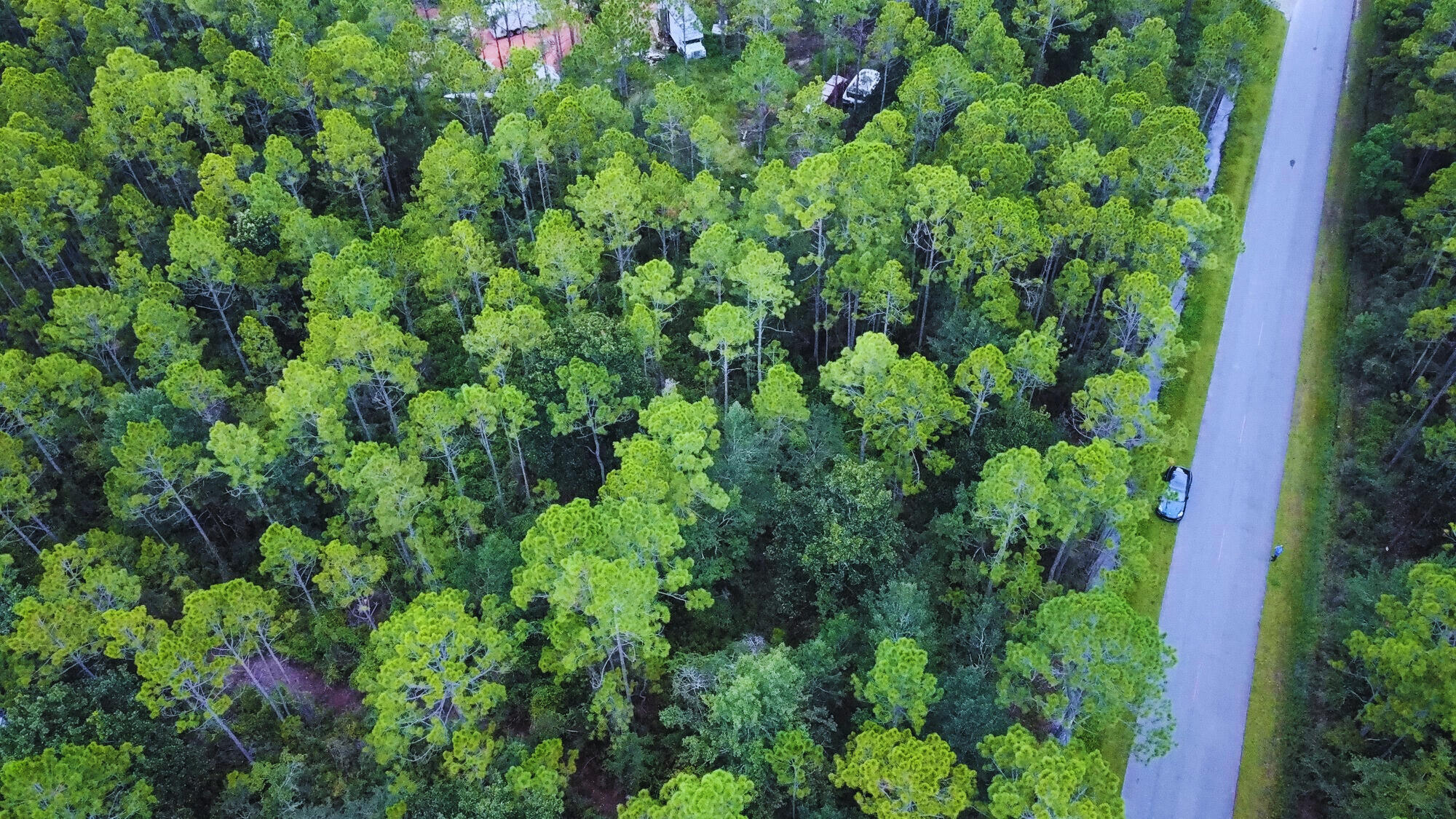 Lot P North Church Street Santa Rosa Beach, FL 32459 - Photo 3 of 6 an aerial view of a house with a tree