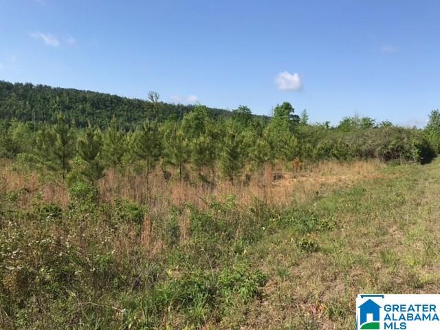 1 Shoal Creek Road, Unit 1 Ashville, AL 35953 - Photo 6 of 7