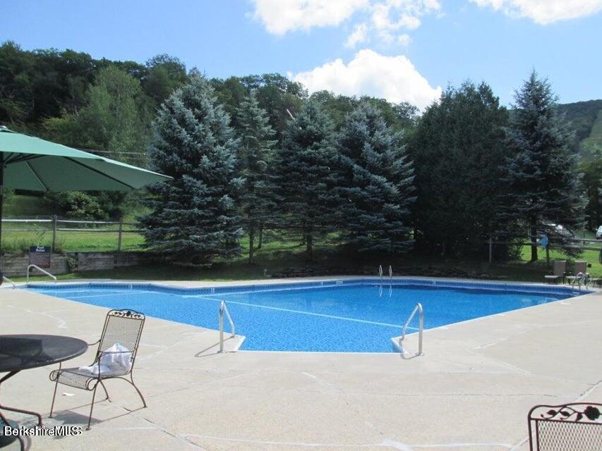 37 Corey Road, Unit 812 Hancock, MA 01237 - Photo 14 of 15 Doc Maynard Pool