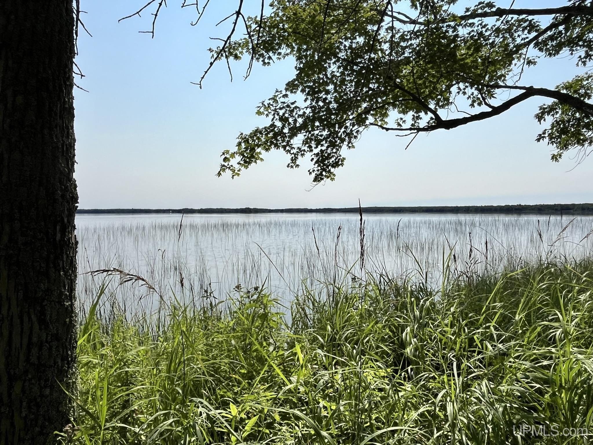 Tbd Neazor Point Road South Germfask, MI 49836 - Photo 9 of 27 Gallery Image 9