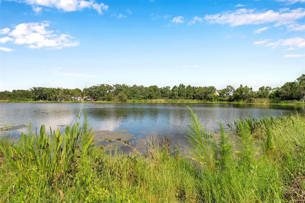 4812 Walnut Ridge Road Land O' Lakes, FL 34638 - Photo 2 of 74 Gallery Image 2