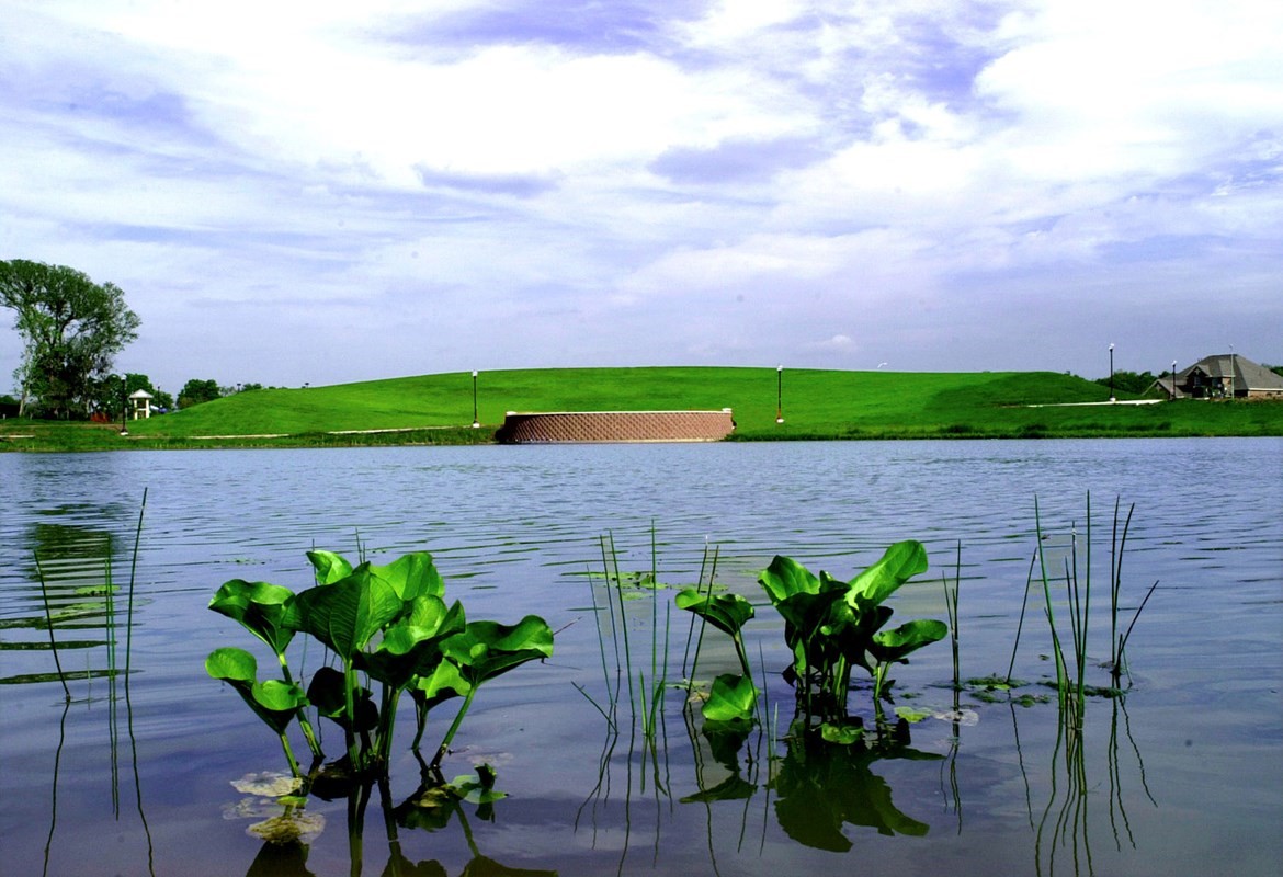 11631 Golden Grv Drive Rosharon, TX 77583 - Photo 11 of 14 Community Lifestyle