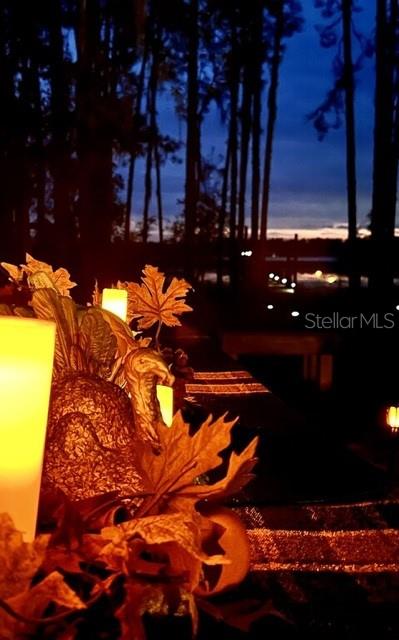 101 Tomahawk Road Hawthorne, FL 32640 - Photo 22 of 25 a view of swimming pool from outdoor space