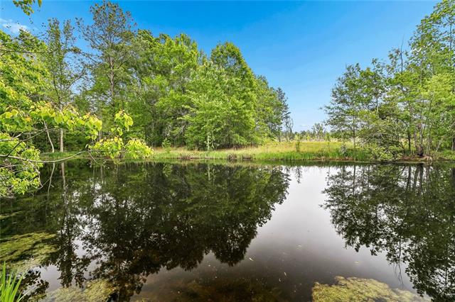 73383 Edgar Kennedy Road Pearl River, LA 70452 - Photo 11 of 16