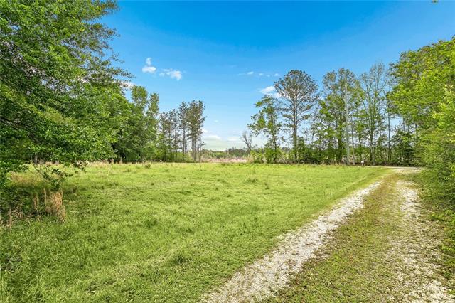 73383 Edgar Kennedy Road Pearl River, LA 70452 - Photo 12 of 16