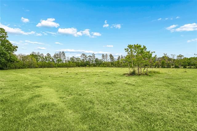 73383 Edgar Kennedy Road Pearl River, LA 70452 - Photo 14 of 16