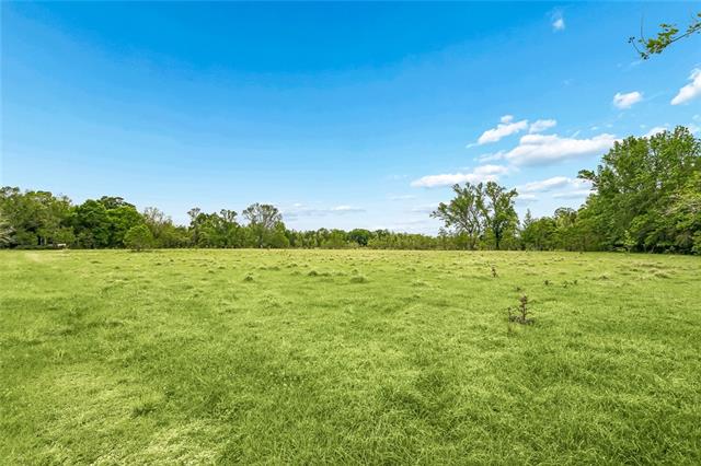 73383 Edgar Kennedy Road Pearl River, LA 70452 - Photo 15 of 16