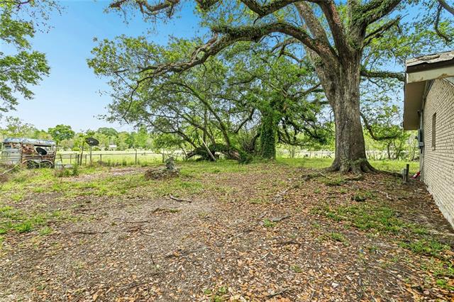 73383 Edgar Kennedy Road Pearl River, LA 70452 - Photo 8 of 16