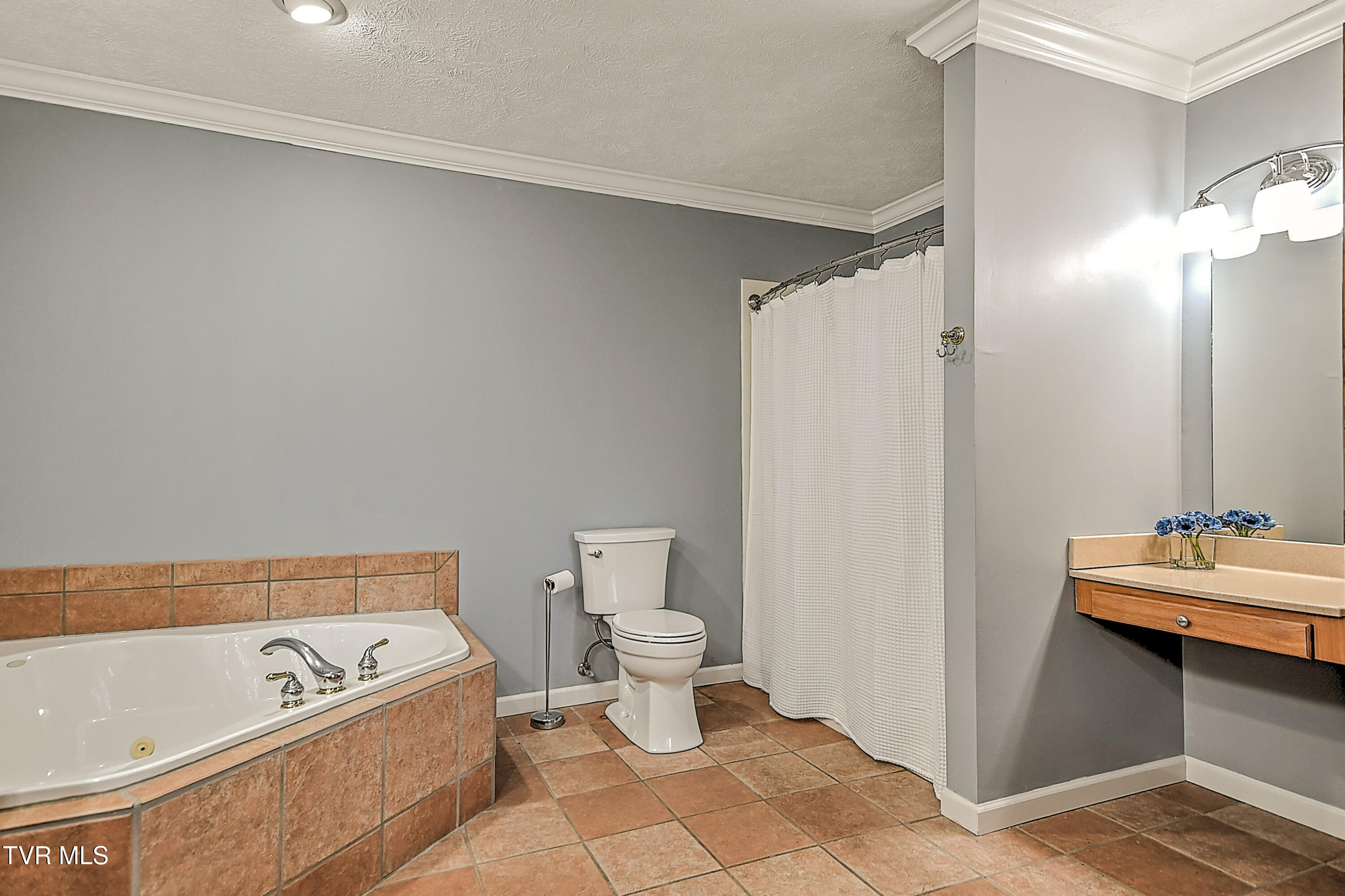 311 Big Springs Road Elizabethton, TN 37643 - Photo 45 of 92 311 Big Springs MP-25