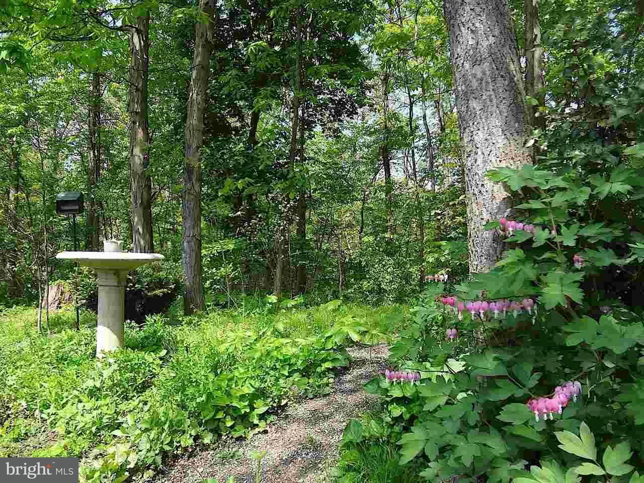 236 Runaway Road Abbottstown, PA 17301 - Photo 31 of 36 Gallery Image 31