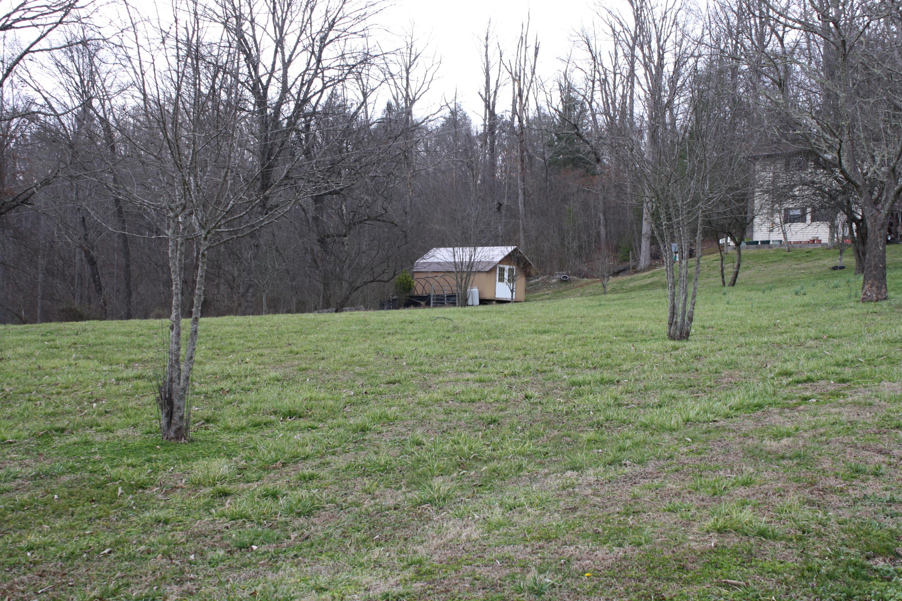 Lot 12 Spring View Drive Sevierville, TN 37862 - Photo 11 of 22 2016-03-01 13.32.58