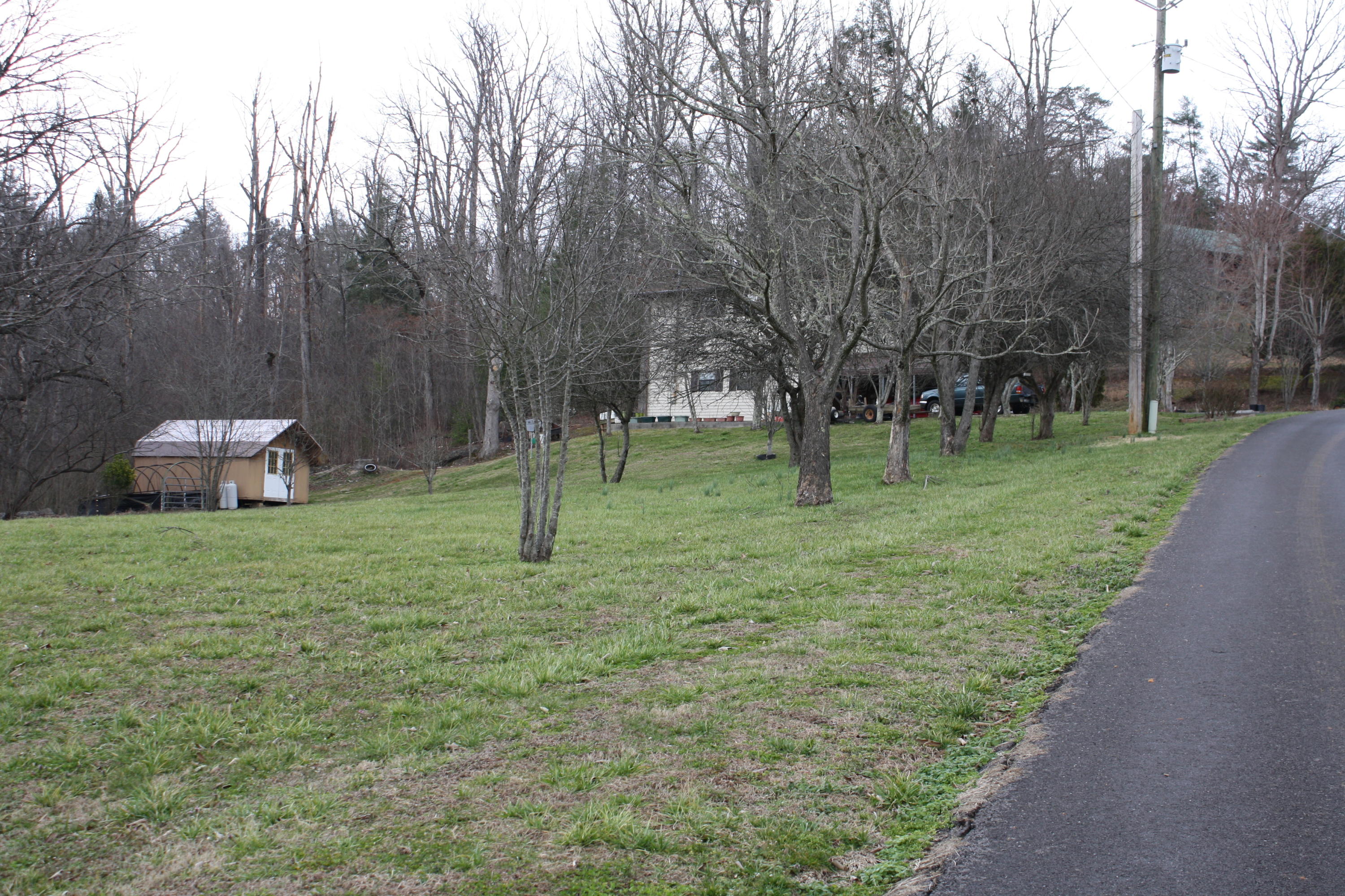 Lot 12 Spring View Drive Sevierville, TN 37862 - Photo 12 of 22 2016-03-01 13.33.00