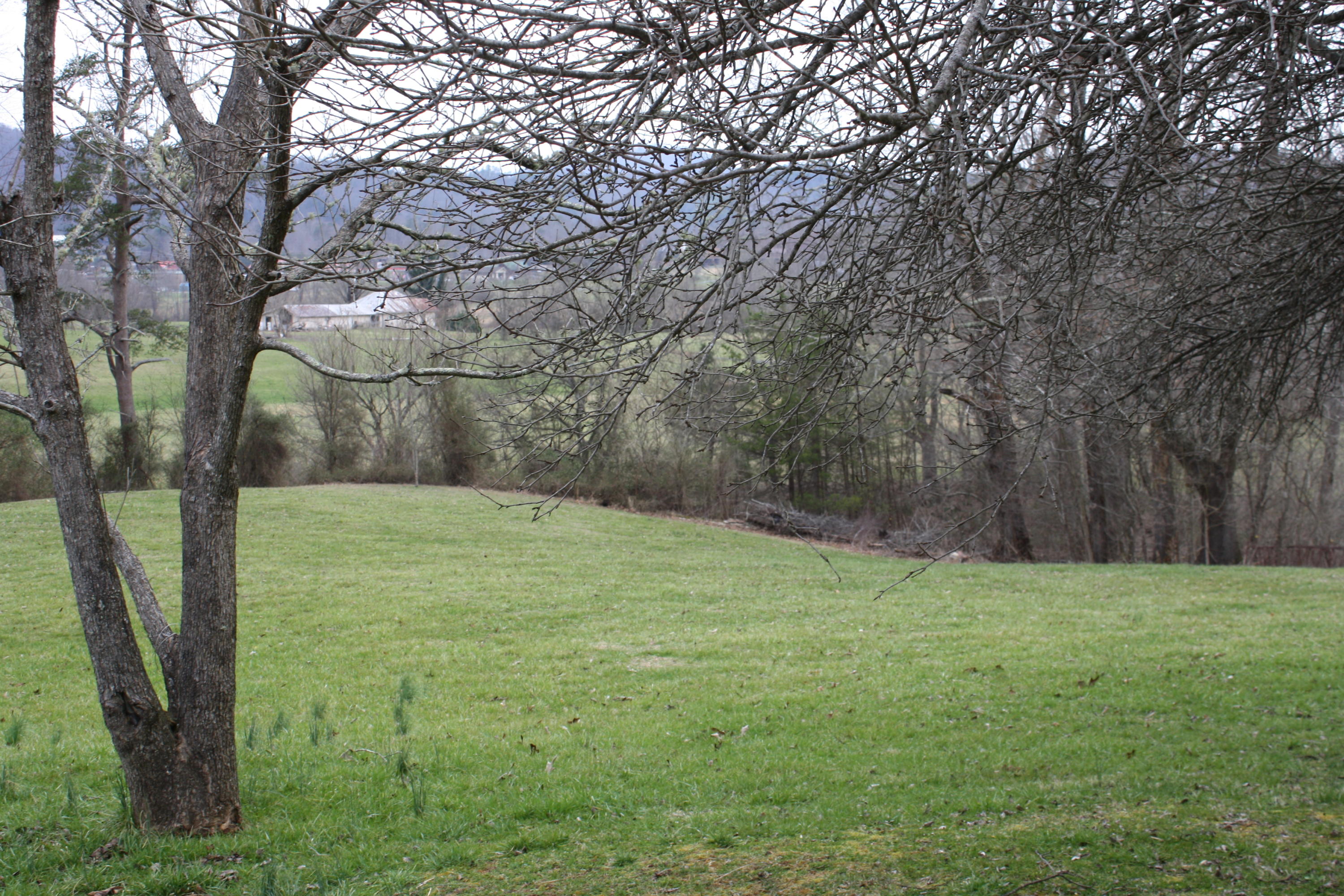 Lot 12 Spring View Drive Sevierville, TN 37862 - Photo 13 of 22 2016-03-01 13.35.48