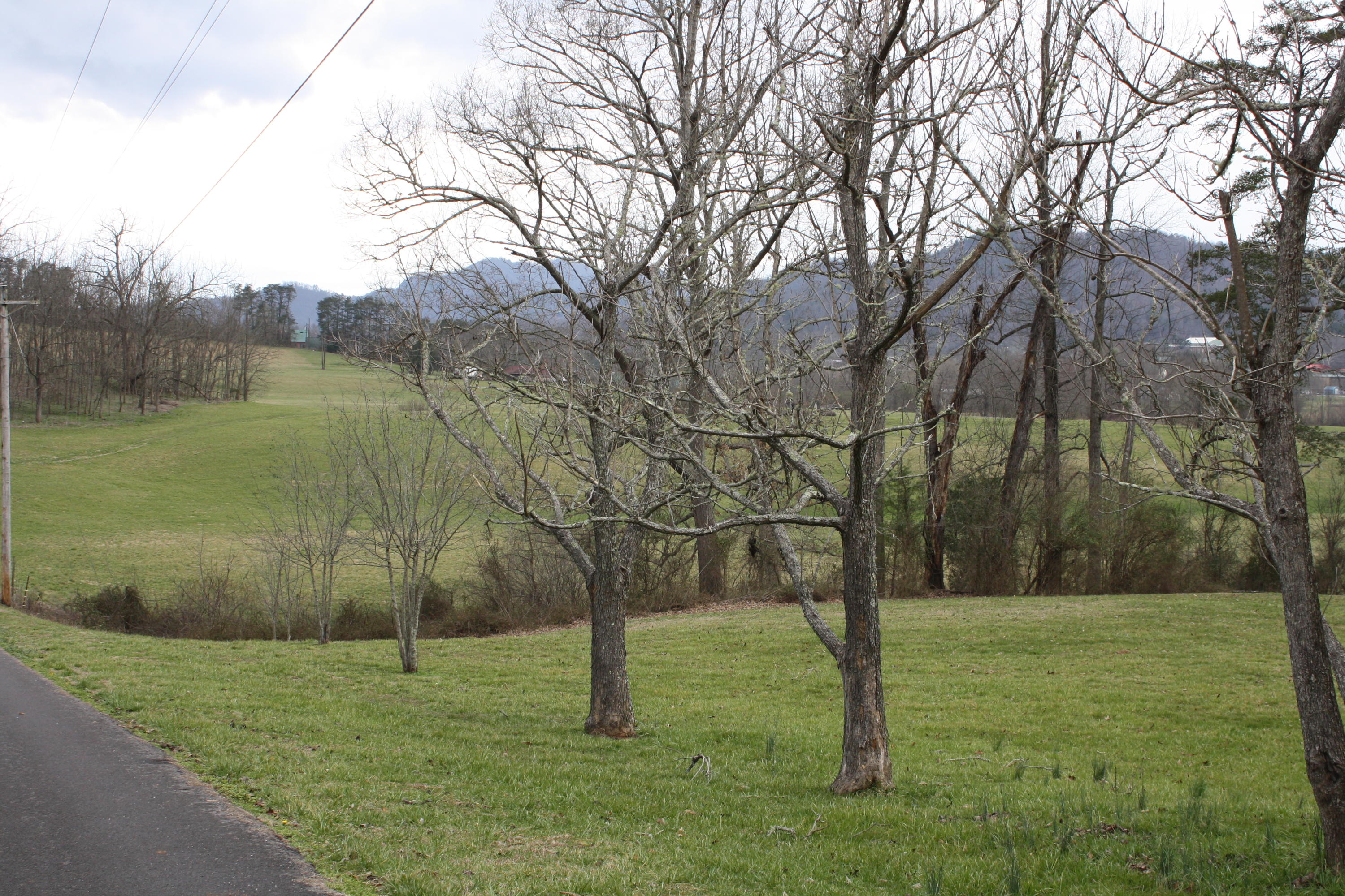 Lot 12 Spring View Drive Sevierville, TN 37862 - Photo 14 of 22 2016-03-01 13.36.02