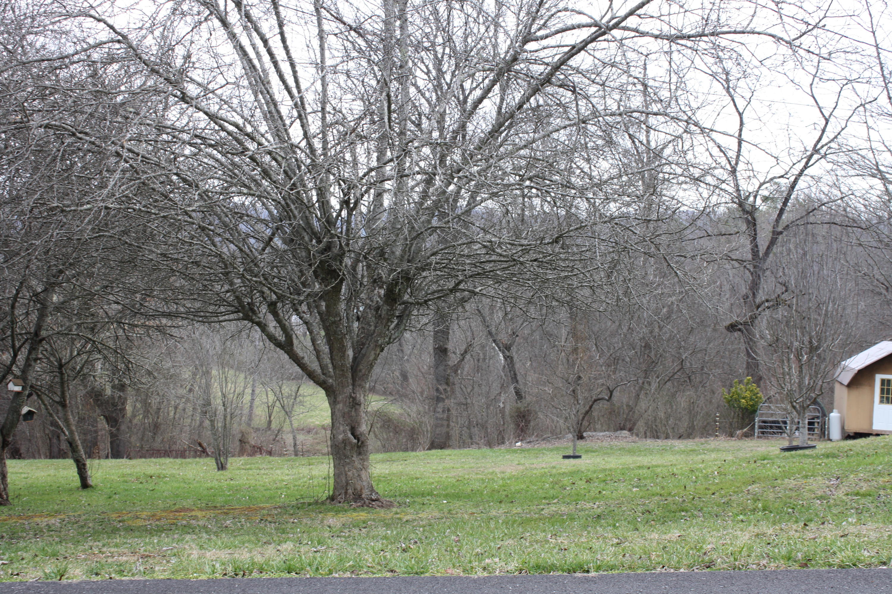 Lot 12 Spring View Drive Sevierville, TN 37862 - Photo 15 of 22 2016-03-01 13.36.22
