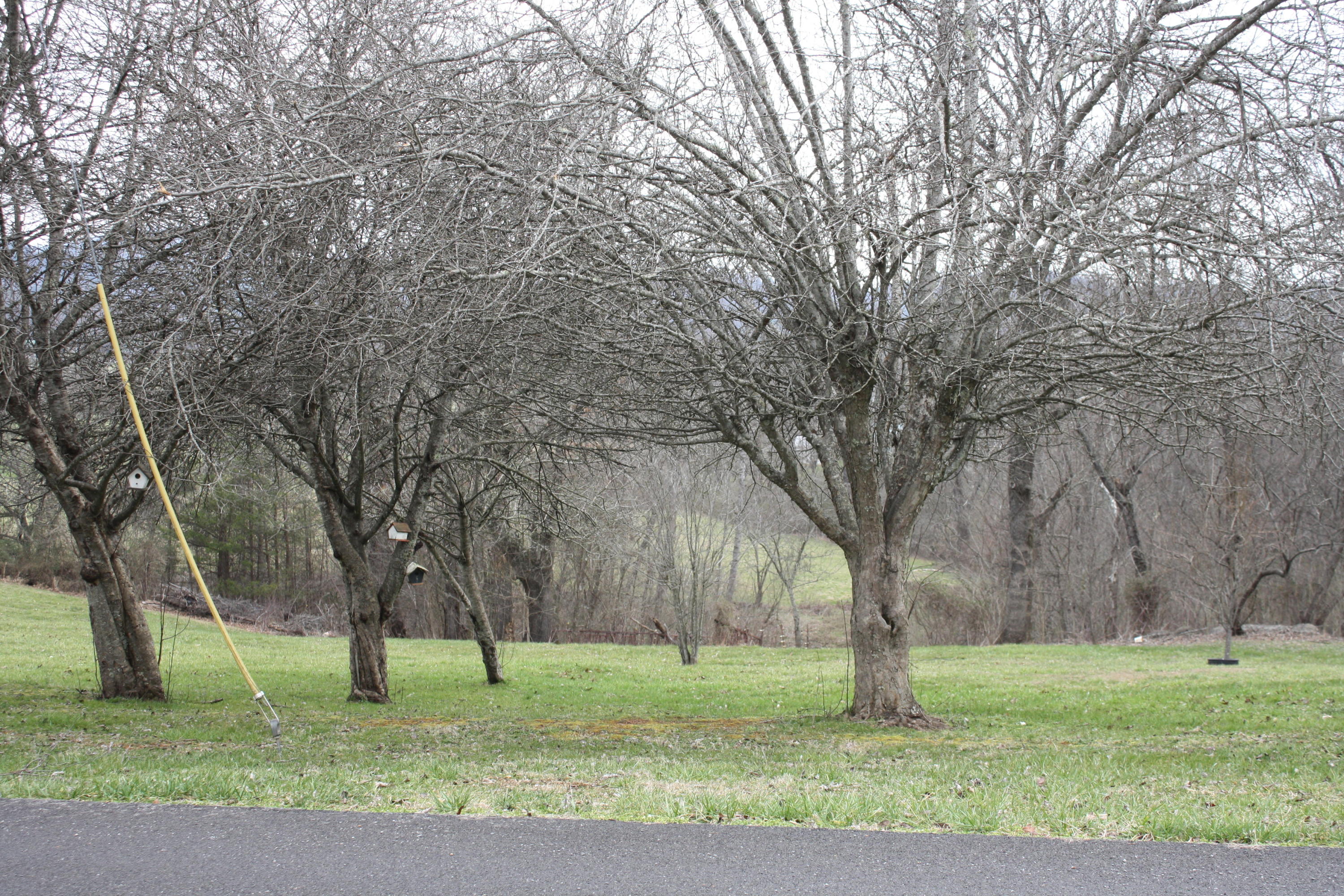 Lot 12 Spring View Drive Sevierville, TN 37862 - Photo 16 of 22 2016-03-01 13.36.25