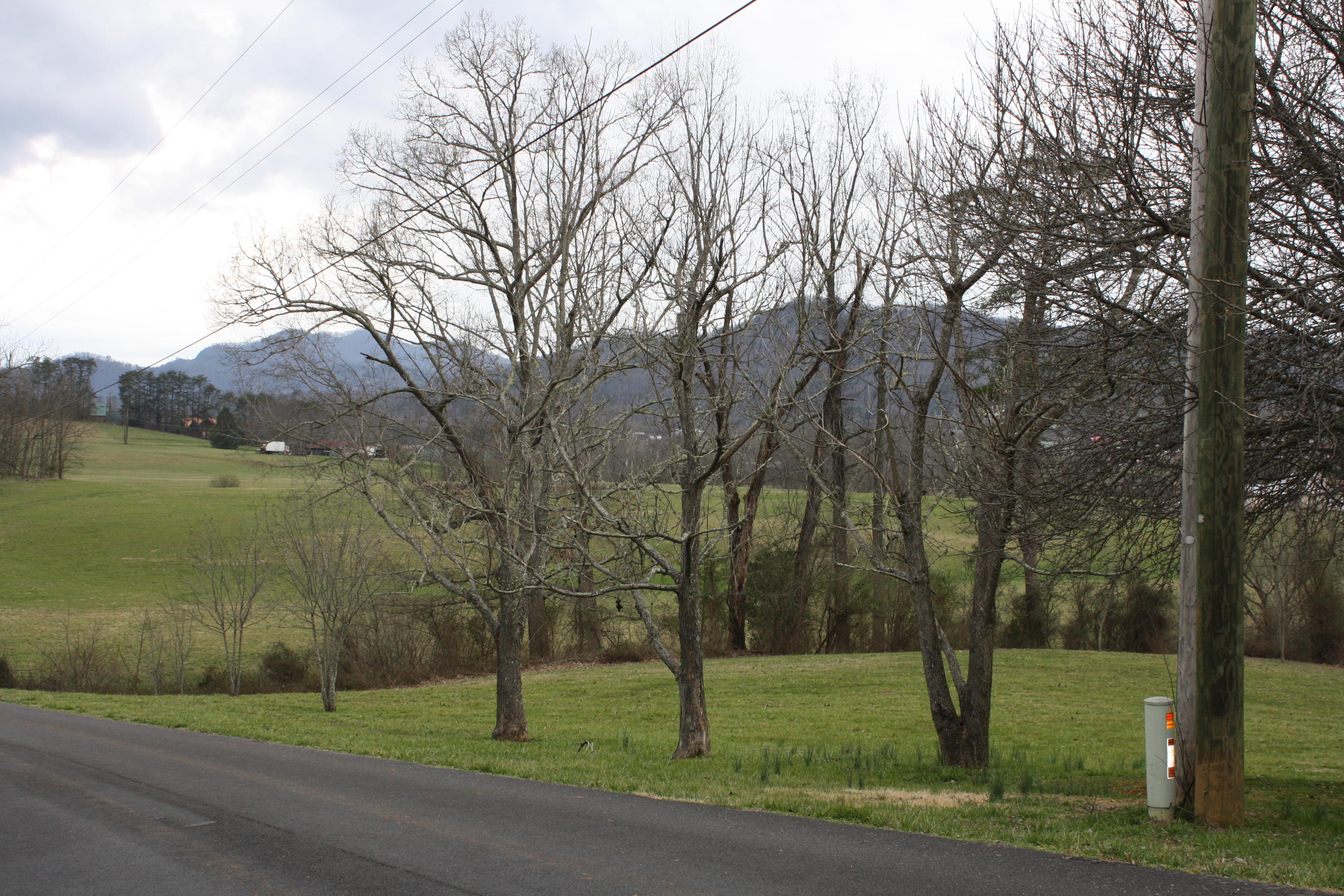 Lot 12 Spring View Drive Sevierville, TN 37862 - Photo 19 of 22 2016-03-01 13.36.34
