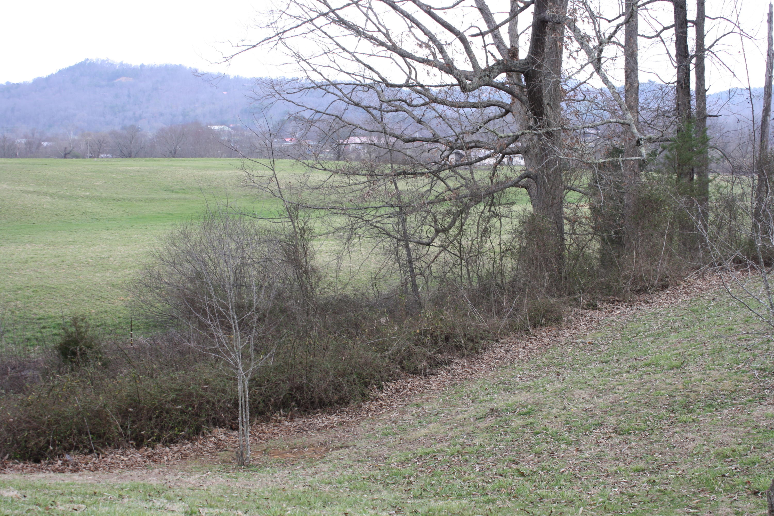 Lot 12 Spring View Drive Sevierville, TN 37862 - Photo 3 of 22 2016-03-01 13.32.42