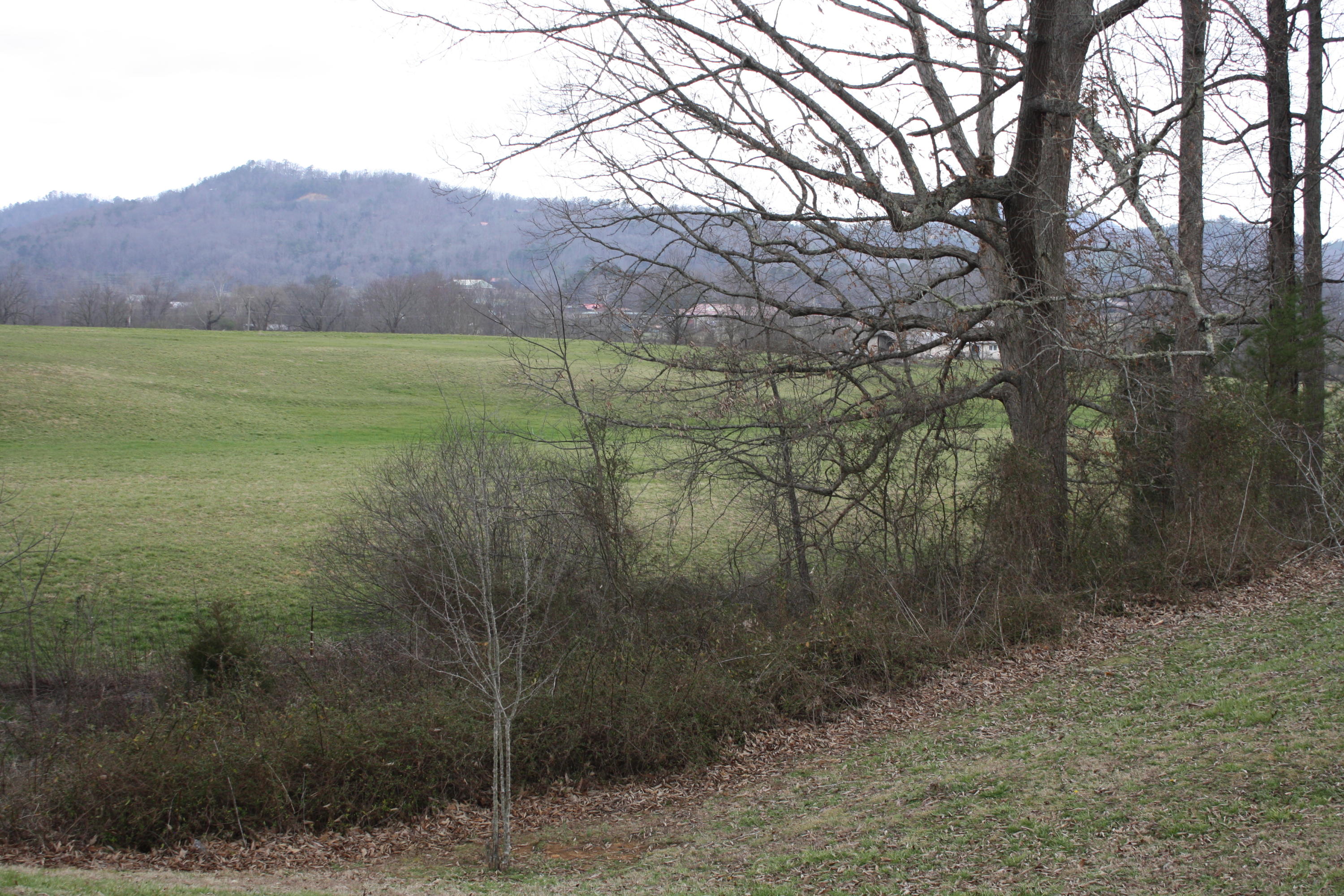 Lot 12 Spring View Drive Sevierville, TN 37862 - Photo 5 of 22 2016-03-01 13.32.48