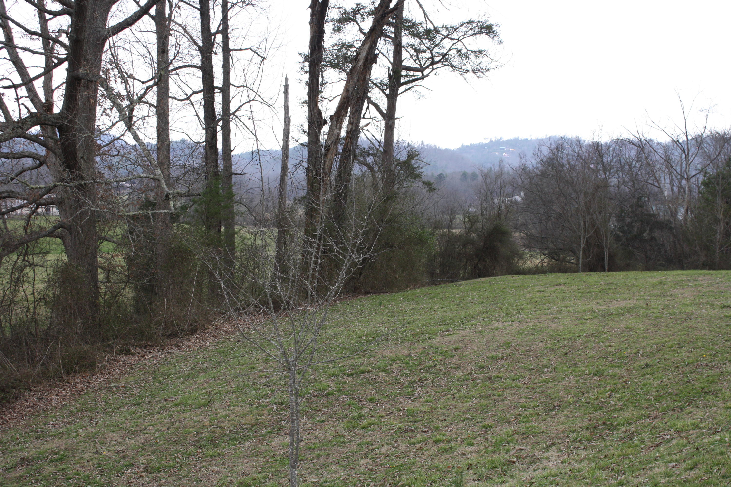 Lot 12 Spring View Drive Sevierville, TN 37862 - Photo 9 of 22 2016-03-01 13.32.52