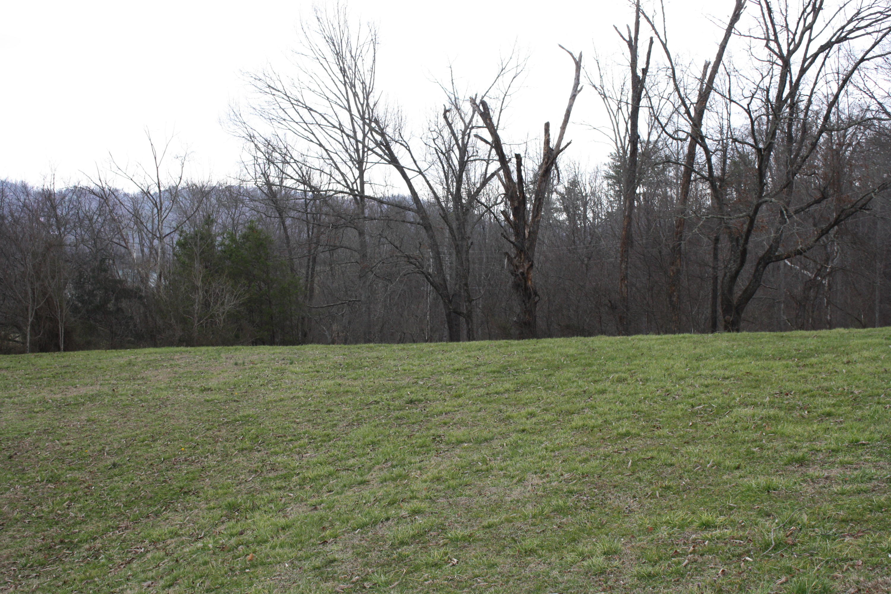 Lot 12 Spring View Drive Sevierville, TN 37862 - Photo 10 of 22 2016-03-01 13.32.55