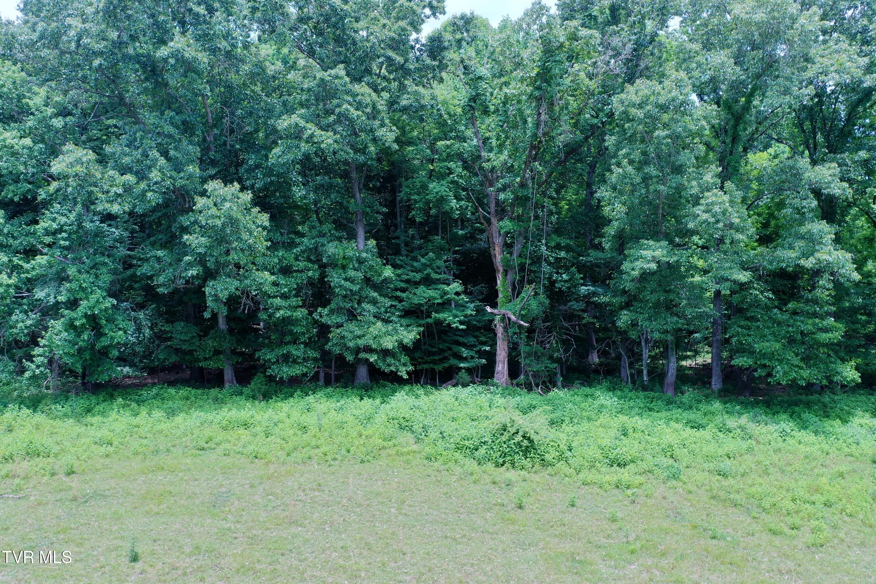 3956 Mulberry Gap Road Sneedville, TN 37869 - Photo 25 of 37 DJI_0918