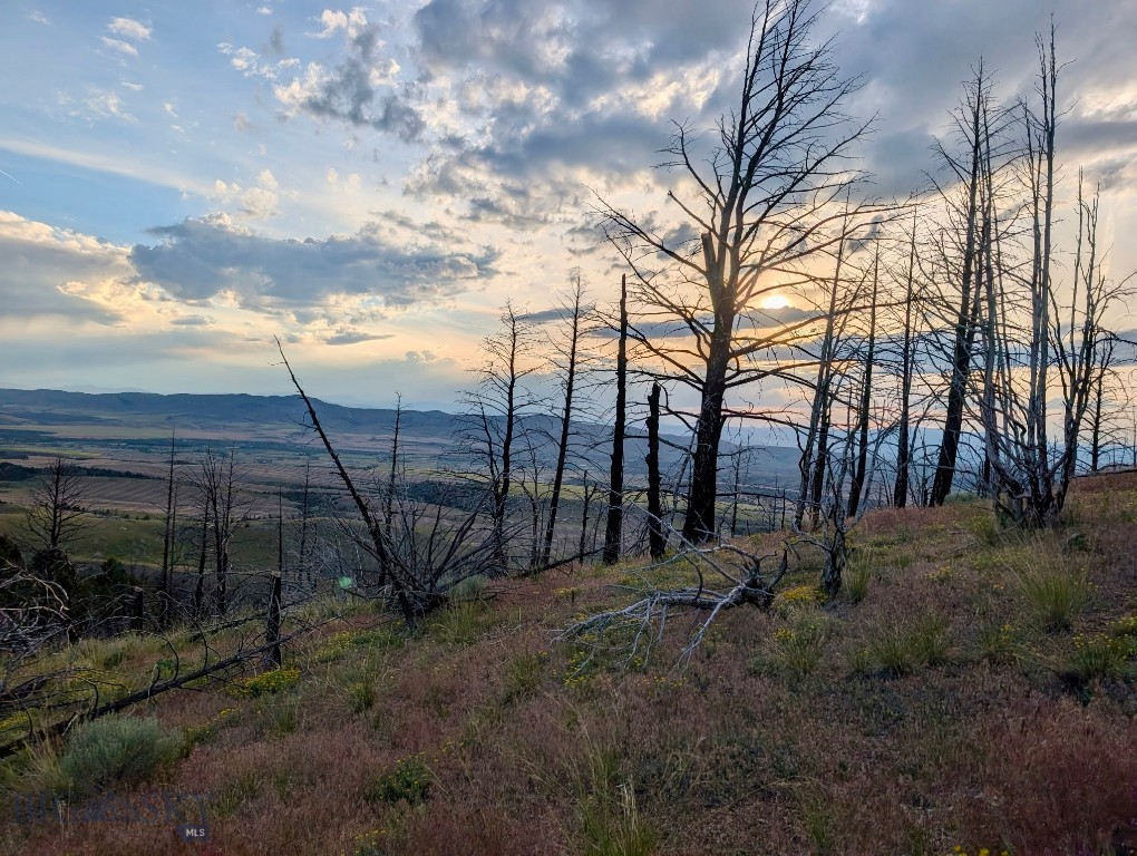 Lot 397 Tbd Lightning Ridge Trail Three Forks, MT 59752 - Photo 1 of 1 Gallery Image 1