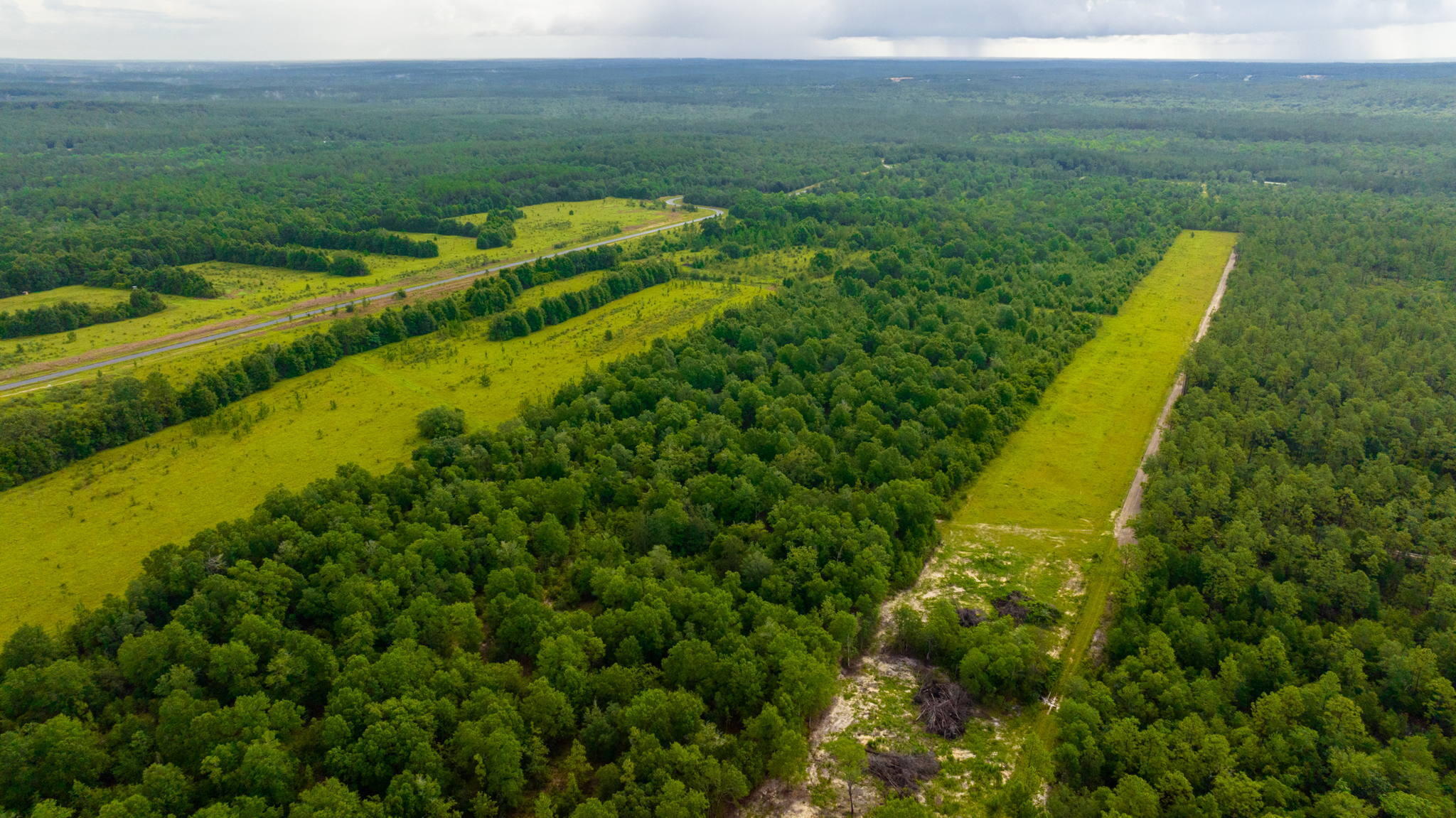 a view of a city with lush green forest