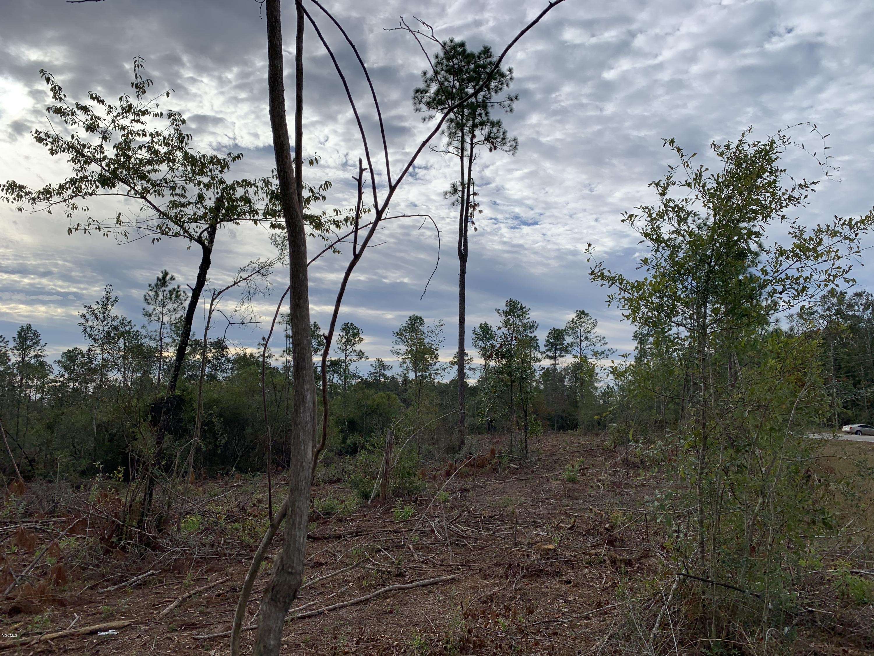 3 Firetower Road Kiln, MS 39556 - Photo 17 of 40 IMG_0692 2