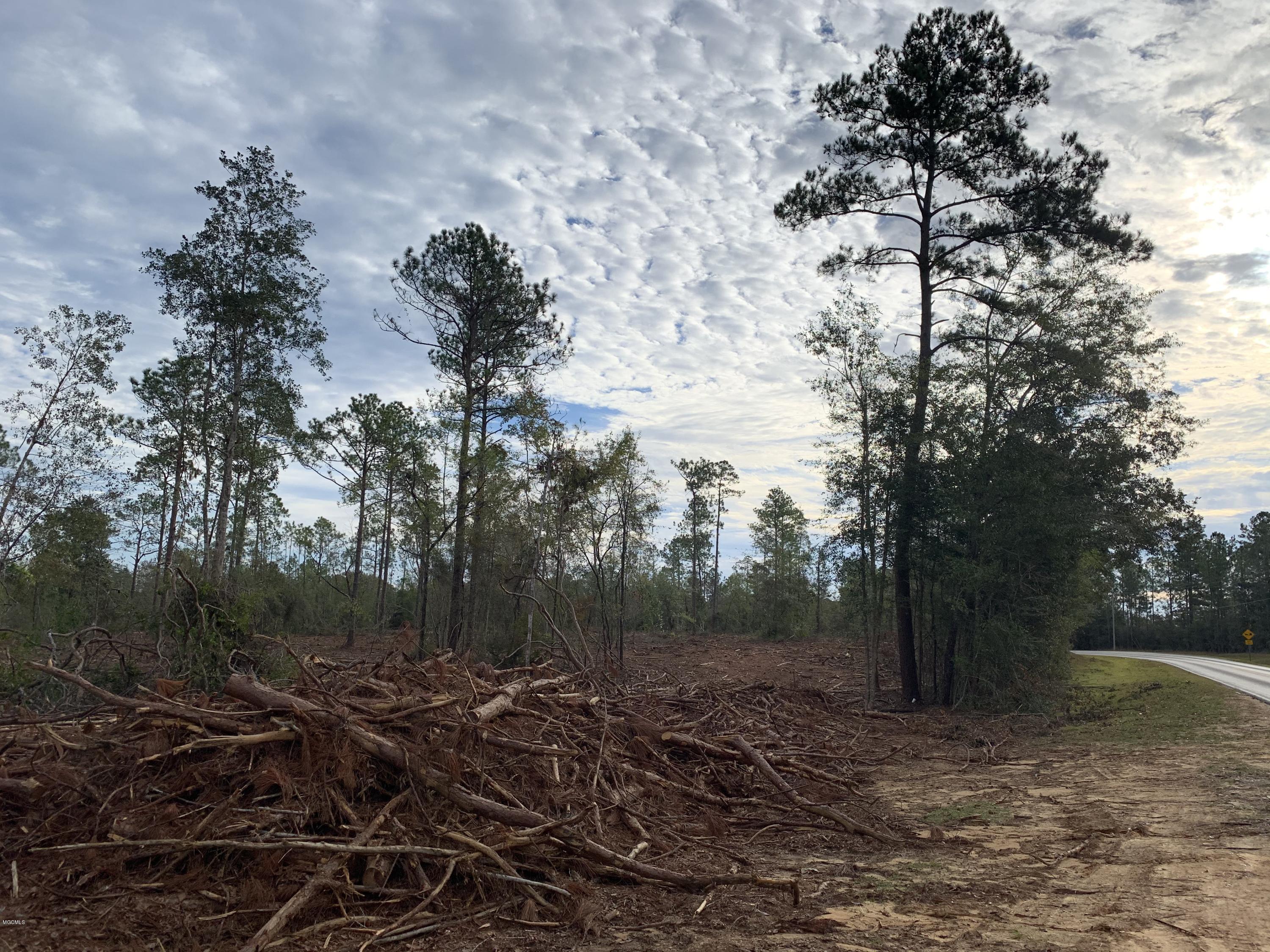3 Firetower Road Kiln, MS 39556 - Photo 20 of 40 IMG_0673