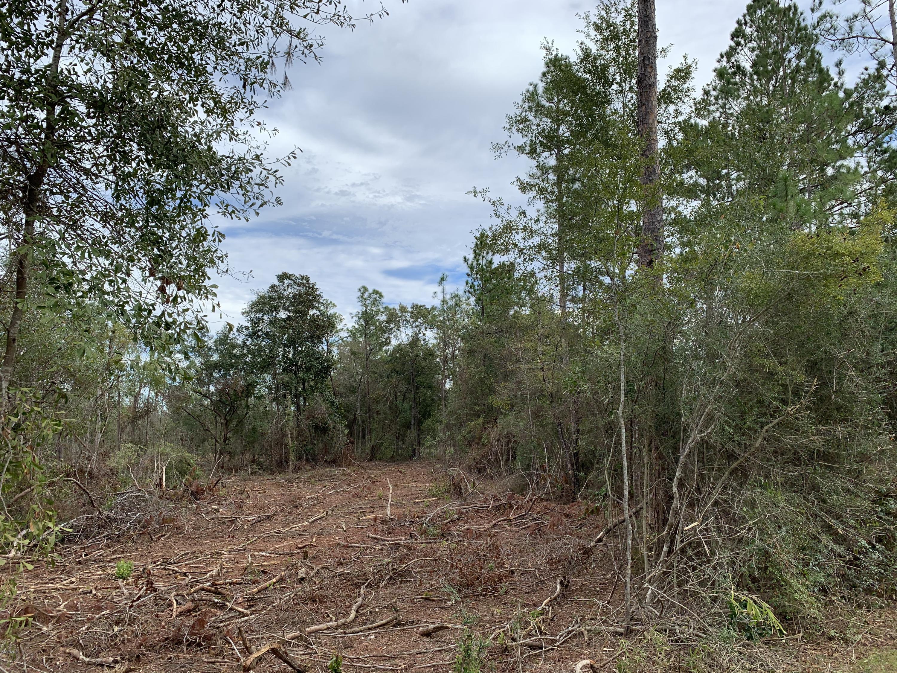 3 Firetower Road Kiln, MS 39556 - Photo 29 of 40 IMG_0706