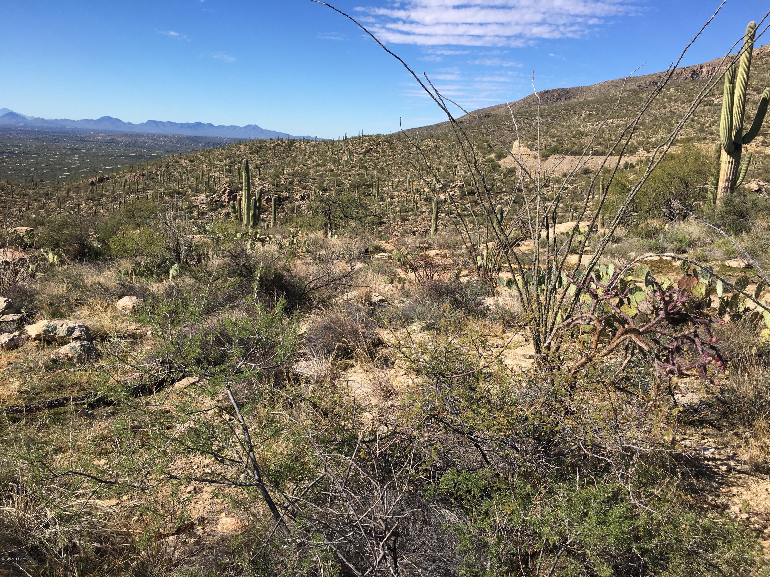 5483 North Wentworth Road Tucson, AZ 85749 - Photo 12 of 14