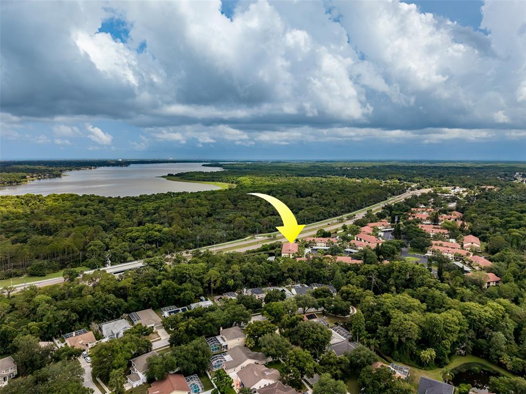 1801 East Lake Road South, Unit 20G Palm Harbor, FL 34685 - Photo 48 of 51