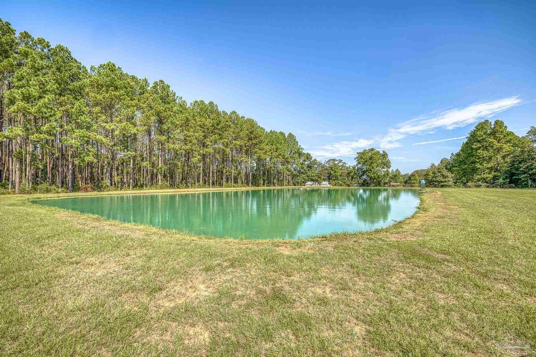 9575 Chumuckla Springs Road Jay, FL 32565 - Photo 45 of 50