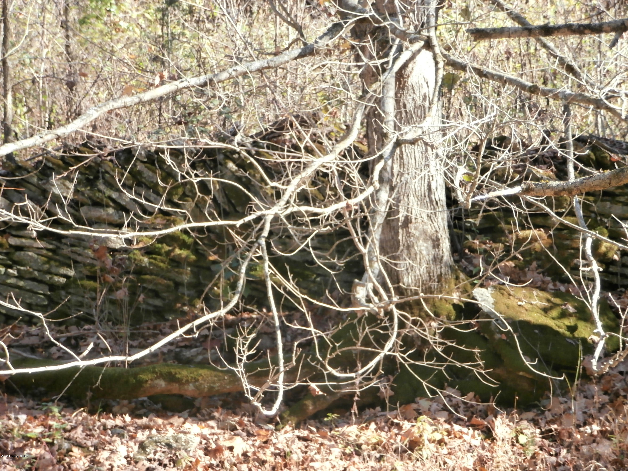Old stone walls along the creek and little valley.