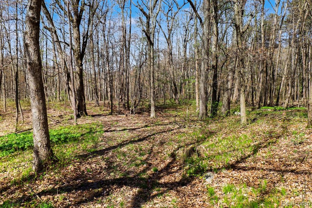 8815 Milford Road Holly, MI 48442 - Photo 11 of 52