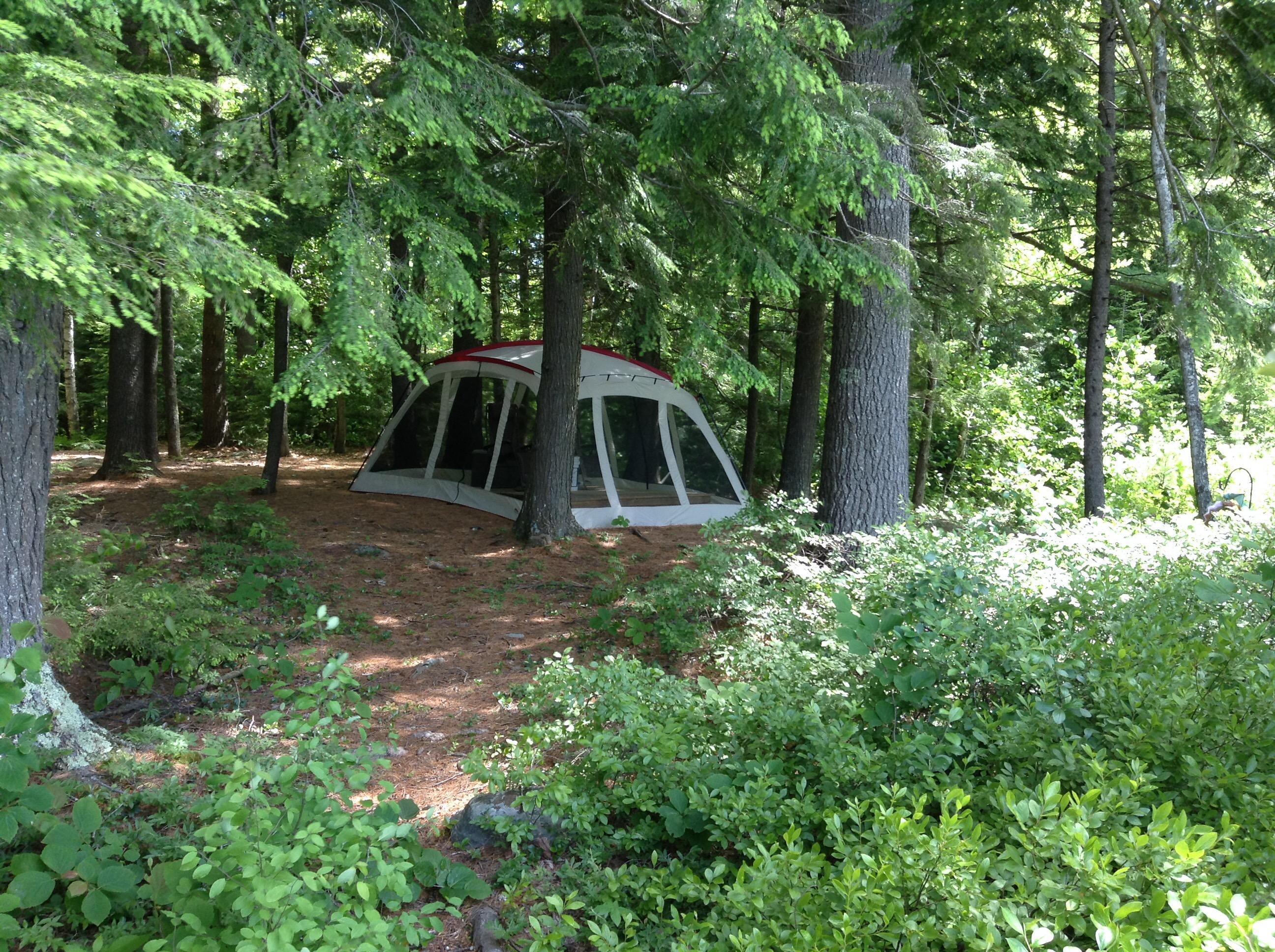 406 Ladd Road Mercer, ME 04957 - Photo 10 of 72 ByThePond