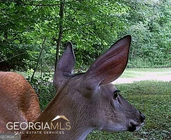 $680,000 | 1994 Camp Creek Road, Lakemont, GA 30552