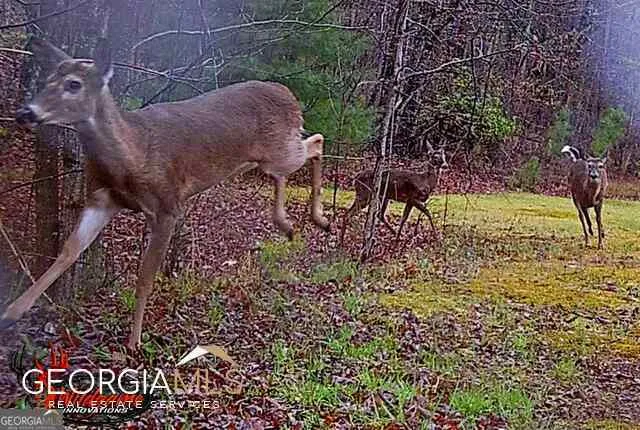 $680,000 | 1994 Camp Creek Road, Lakemont, GA 30552