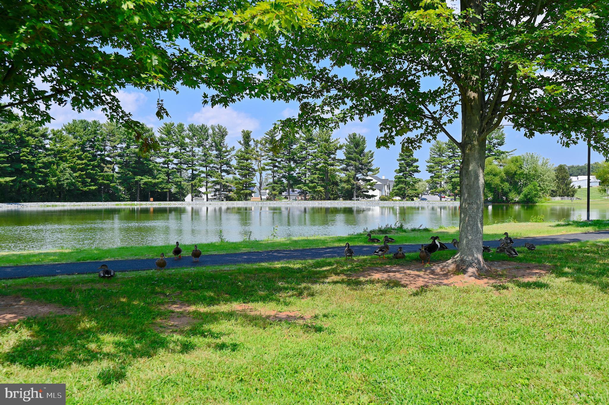 12 Monocacy Circle Taneytown, MD 21787 - Photo 46 of 52 Roberts Mill Pond - a great place to fish!