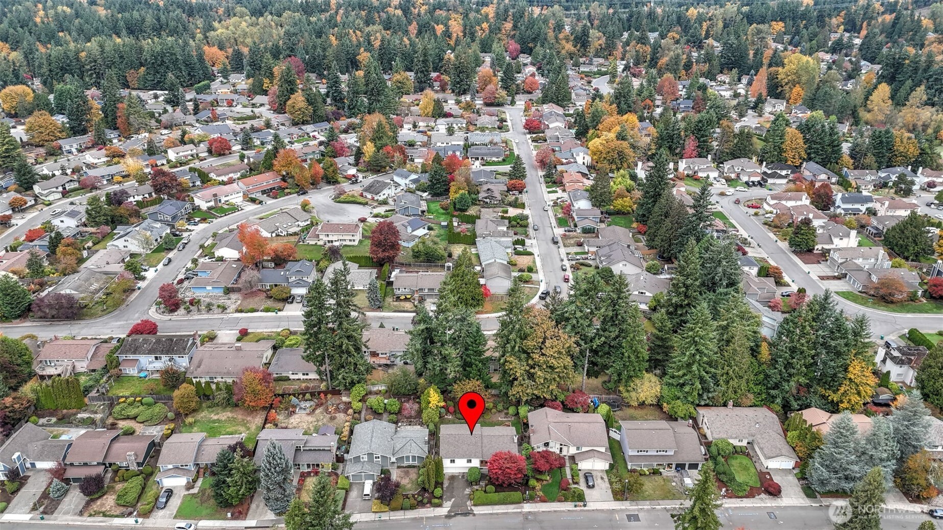 16012 Southeast 172nd Place Renton, WA 98058 - Photo 30 of 31 an aerial view of residential houses with outdoor space and trees