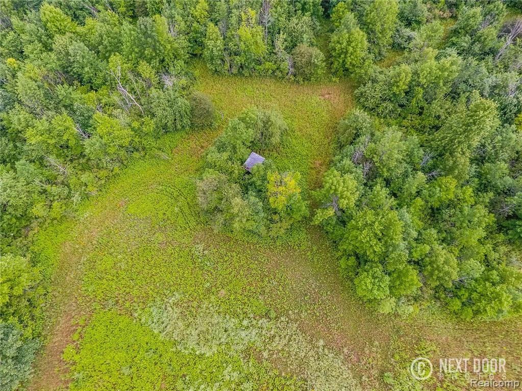 13151 Rohn Road Fenton, MI 48430 - Photo 9 of 53 Photo Jul 27, 8 58 47 AM.jpg