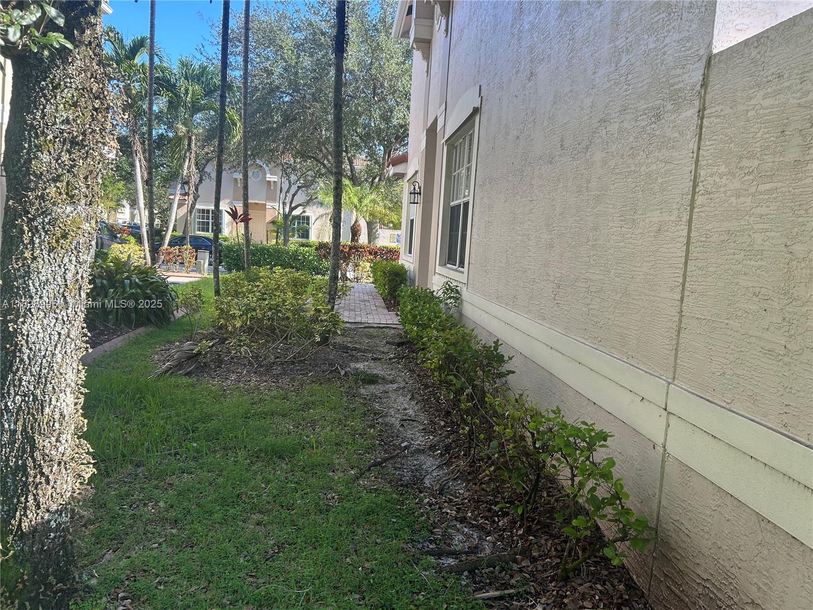 12415 Southwest 42nd Street Miramar, FL 33027 - Photo 35 of 50 a view of backyard with potted plants and large tree