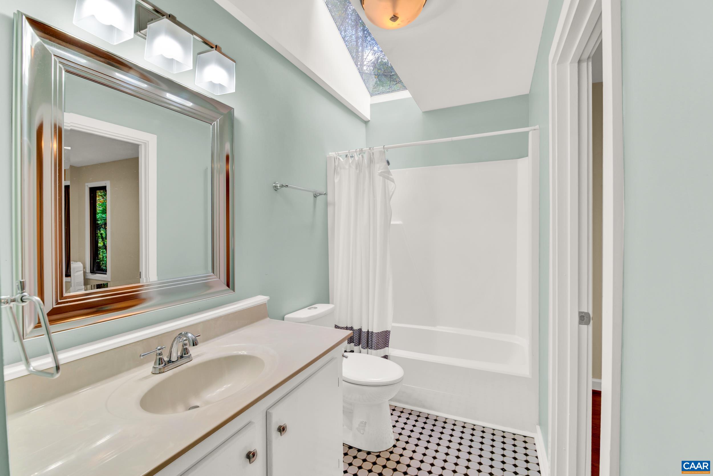 1065 Tilman Road Charlottesville, VA 22901 - Photo 51 of 70 a bathroom with a sink a toilet a mirror and shower