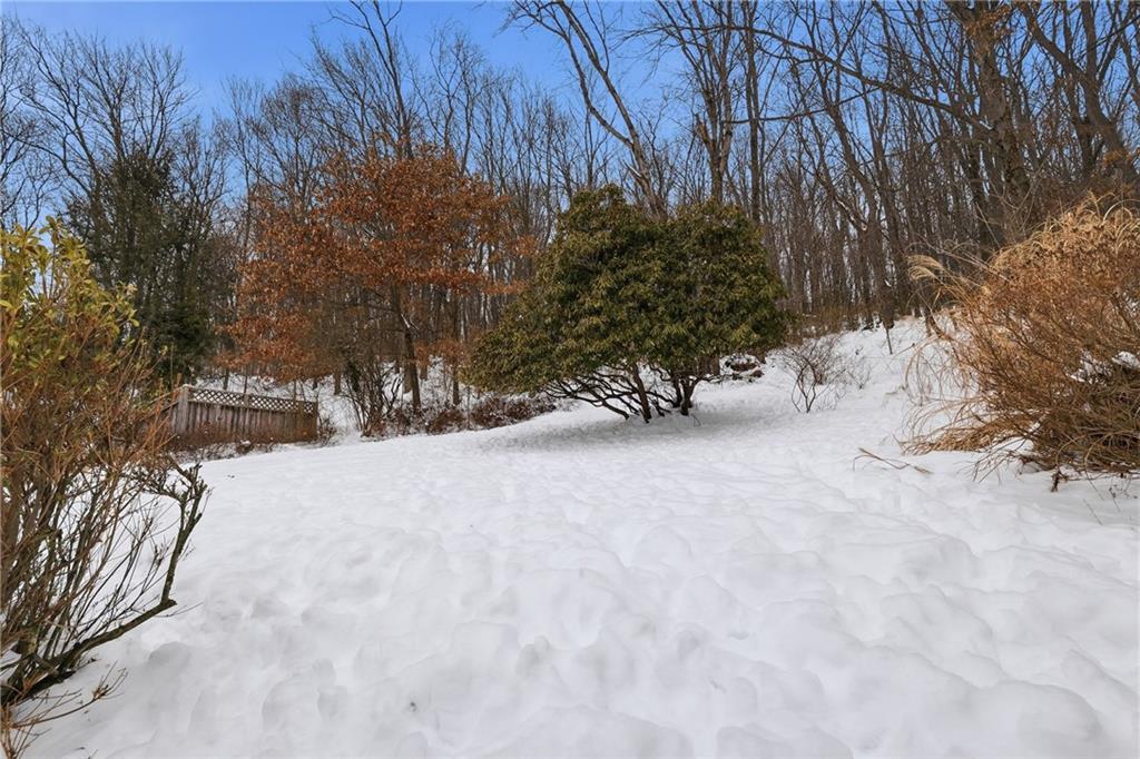 230 West Fulton Street Butler, PA 16001 - Photo 37 of 40 a view of water yard